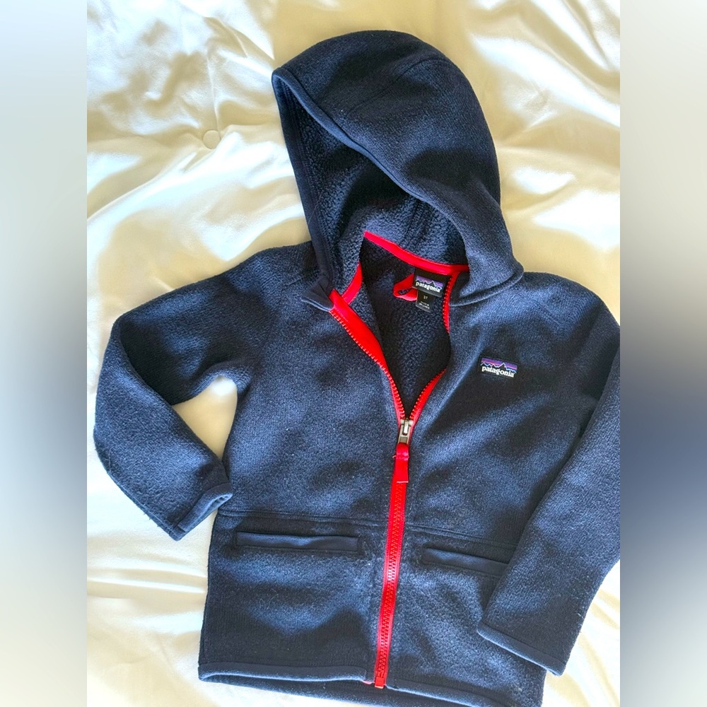 Patagonia Better Sweater 3T